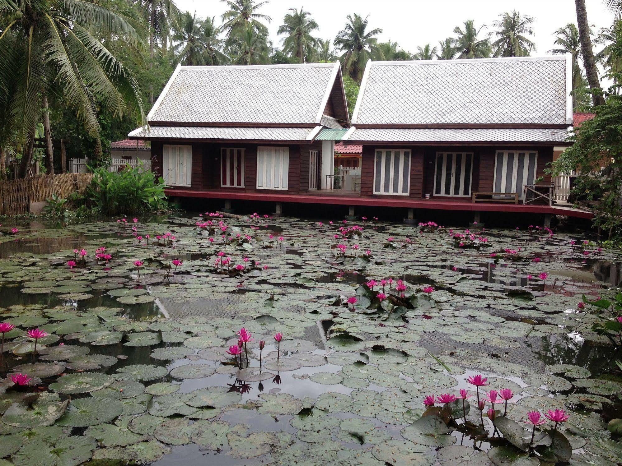 Luang Prabang Oasis Hotel 外观 照片